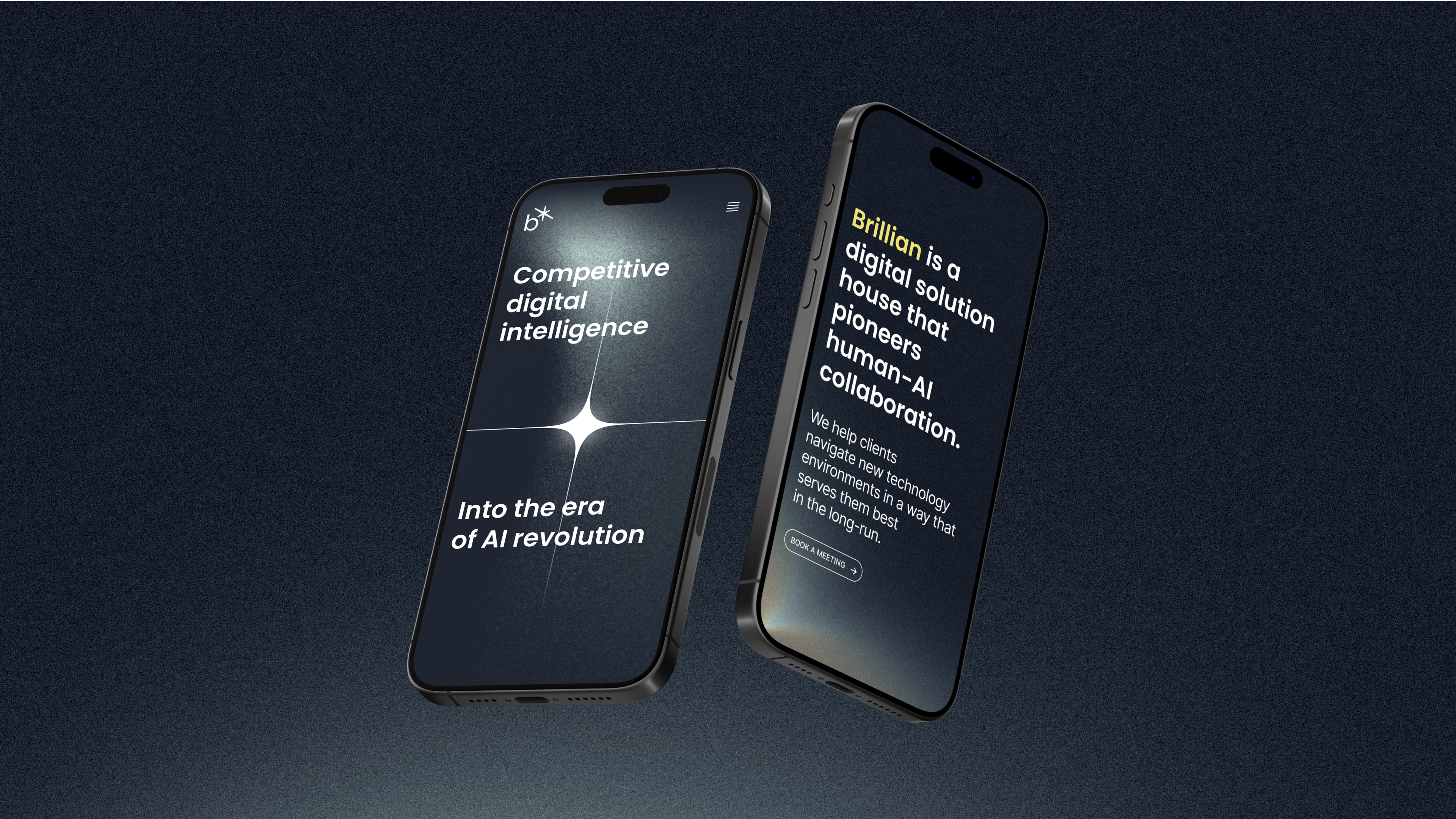 brillian case image 7