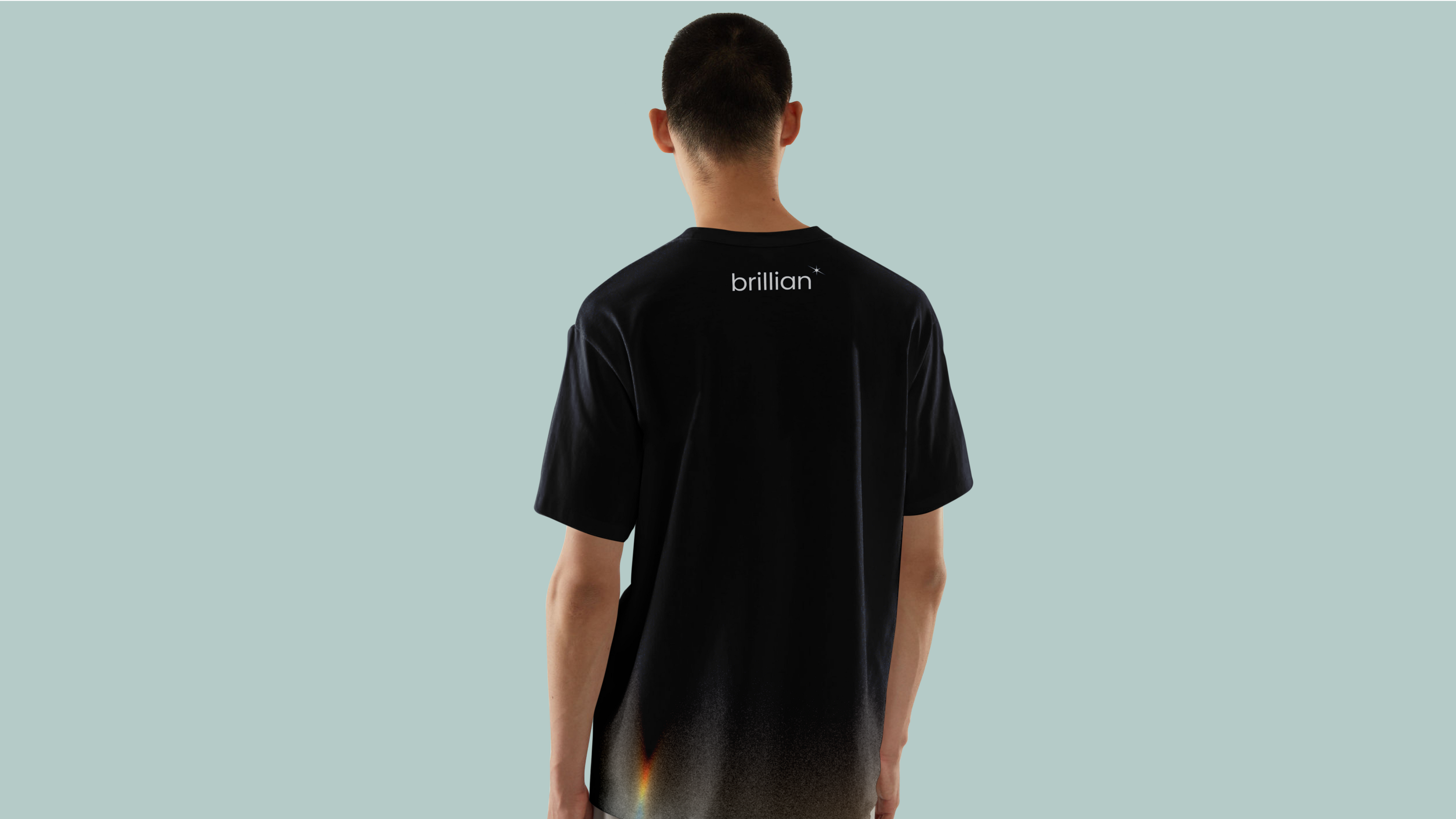 brillian case image 4