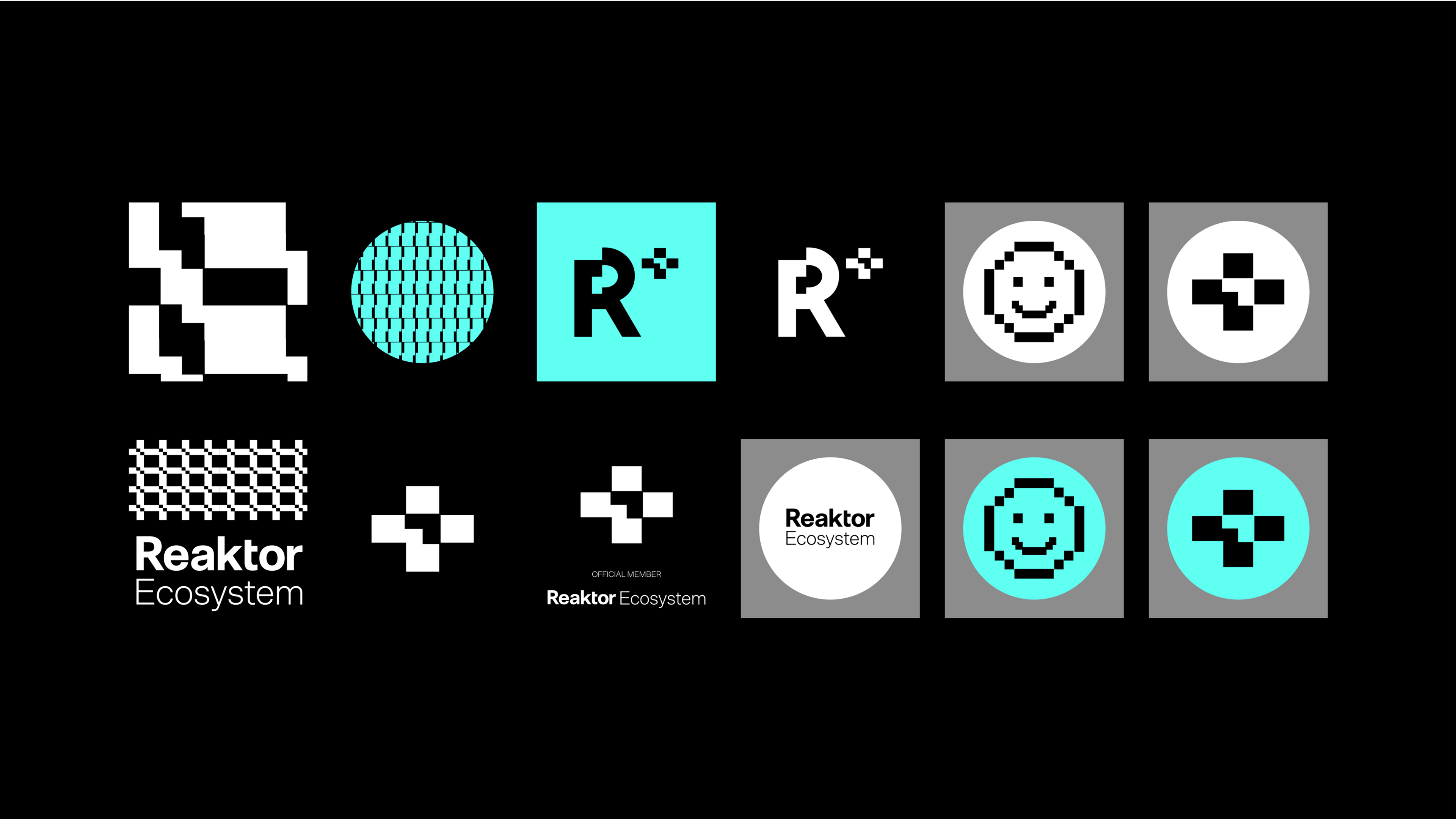 Reaktor Ecosystem case image 8