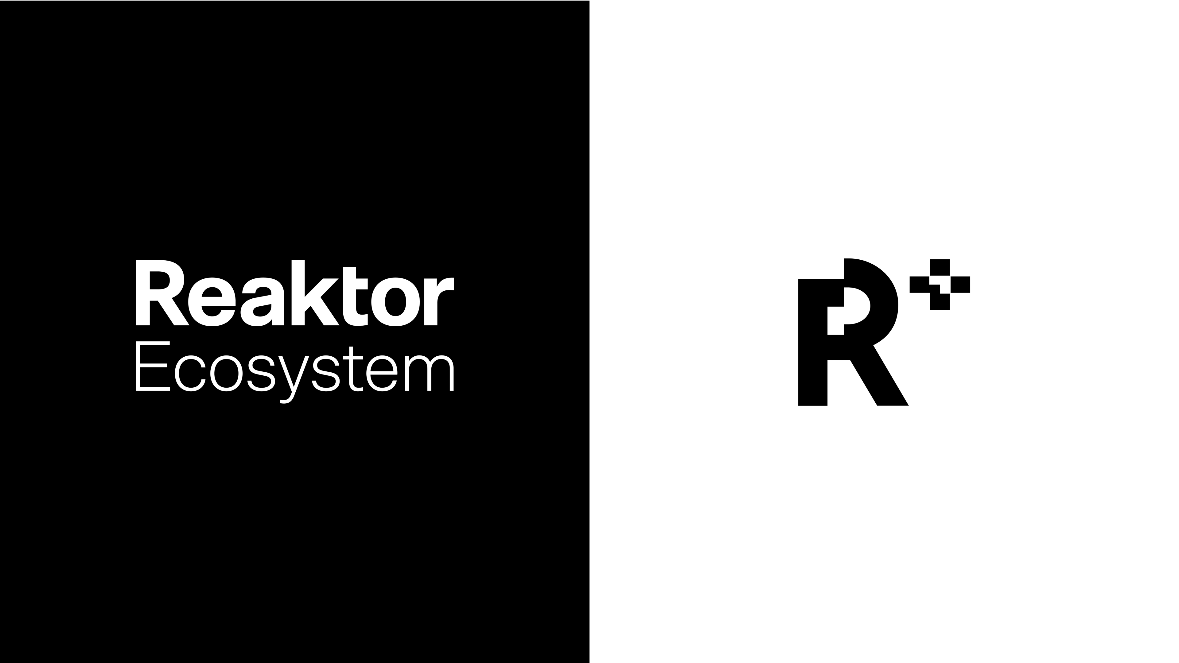 Reaktor Ecosystem case image 0