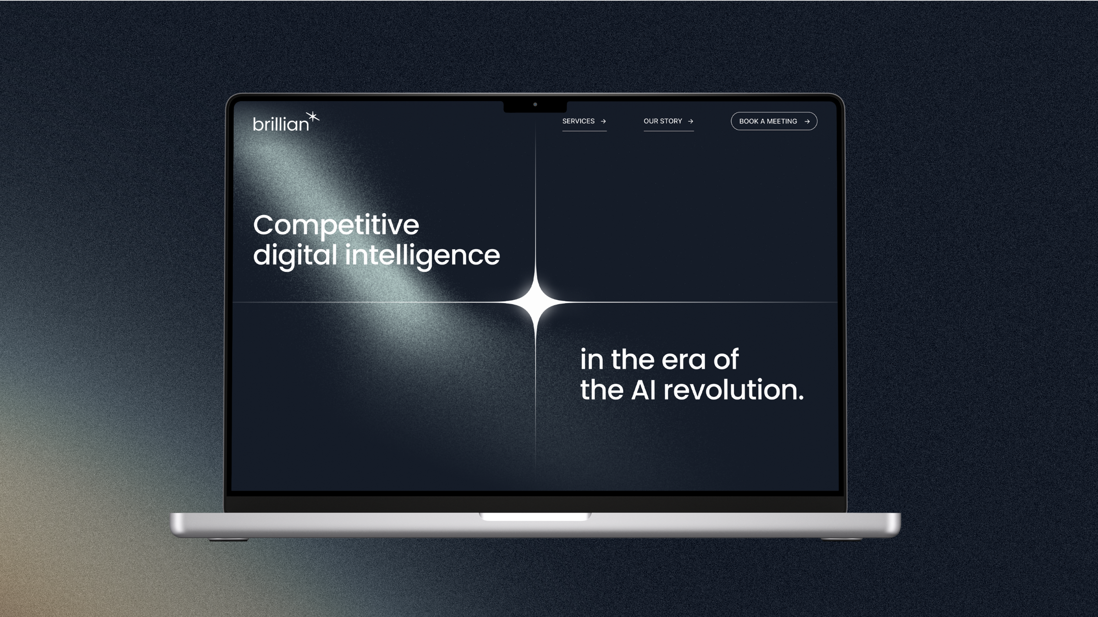 brillian case image 5